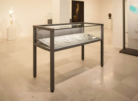 Vetrine espositive per musei della linea Argurion 