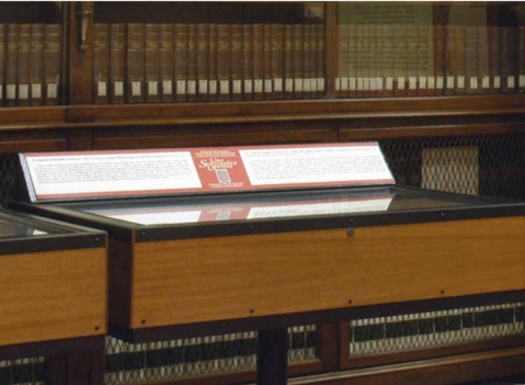 Vetrine espositive: LINEA TESTI