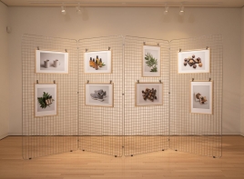 Griglia espositiva linea GRID n.2 griglie espositive metalliche".