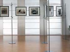 Griglie espositive EXPO' 